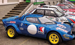 Trofeo lana gatto