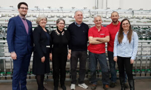 Gualchieri e Gualchieri