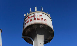 Festival dei beni ocmuni