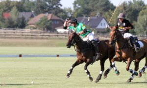 Polo