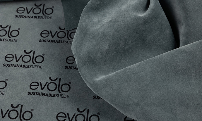 Evolo di Sciarada