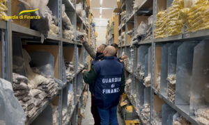 Guardia di Finanza